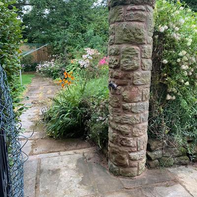 Wall Repairs